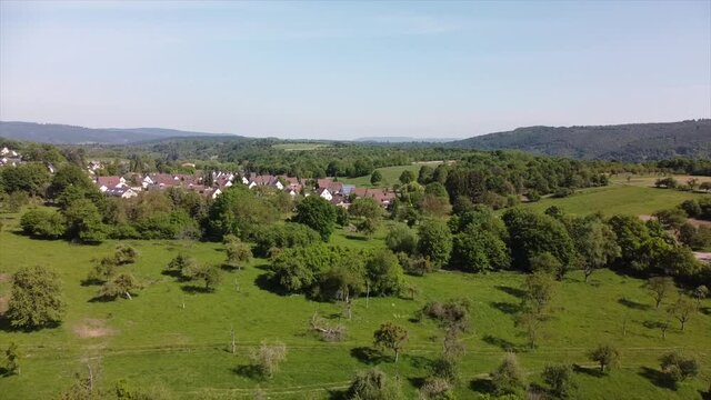 Streuobstwiesen, gef&auml;hrdeter Lebensraum im Rheintal bei Boppard-Buchenau