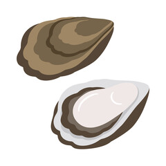 牡蠣と牡蠣の殻