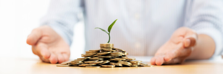 Hands of businessman putting coin into plant sprouting growing up to profit, demonstrating...
