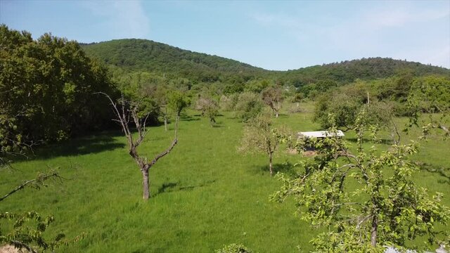 Streuobstwiesen, gef&auml;hrdeter Lebensraum im Rheintal bei Boppard-Buchenau