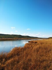 lake in the autumn