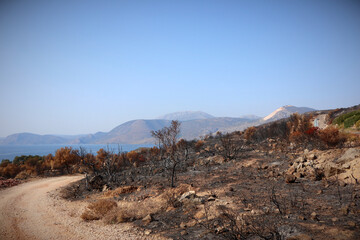 A country road in Turkey after a forest fire. The surrounding area is charred, only the hard shoulder, on which the fire department drove, is still green or red from the heat.
