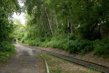 Railway rails in the greenery of urban thickets