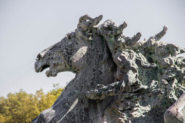 Fototapeta na wymiar Side shot of a horse head sculpture