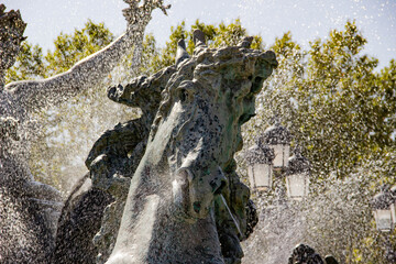 Focus of a horse head sculpture