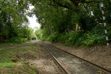Fototapeta na wymiar Railway rails in the greenery of urban thickets
