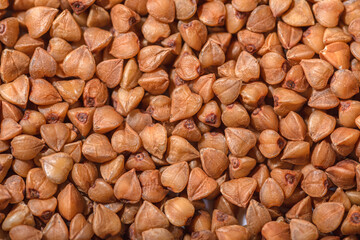 Buckwheat still life photo background above view