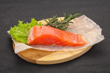 Piece of raw salmon