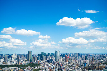Fototapeta premium 東京風景 2020年9月