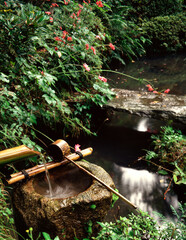 手洗鉢と貴船菊