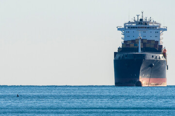 orca killer whale in mediterranean sea near container ship