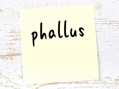 Yellow sticky note on wooden wall with handwritten word phallus