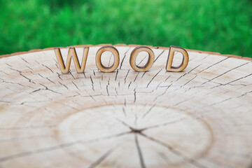 the inscription «wood» made of wooden letters on stump in the forest