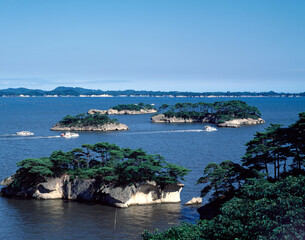 Fototapeta premium 松島
