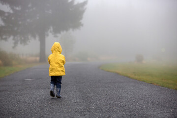 Fototapeta premium Cute blond toddler child, boy, playing in the rain with umbrella on a foggy autumn day