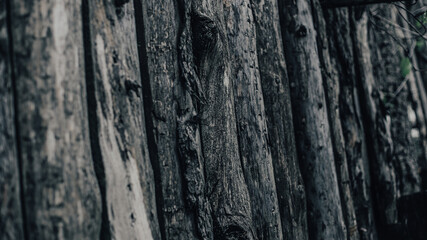 The wood texture is dark gray. Old barn wall made of wooden tree trunks. Close-up view.