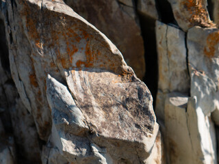 Fototapeta premium Stones texture and background. Rock texture