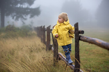 Fototapeta na wymiar Cute blond toddler child, boy, playing in the rain with umbrella on a foggy autumn day
