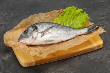Raw Dorada fish  for cooking