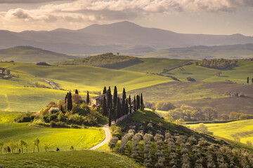 Naklejka premium Tuscan countryside San Quirico