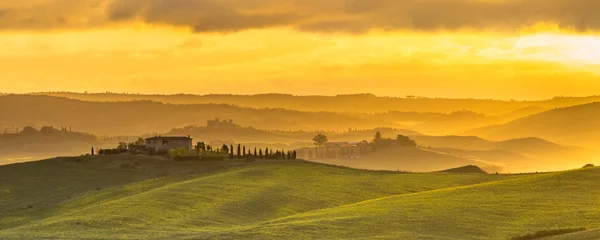 Fotobehang Toscane Vineyard in misty hills  © creativenature.nl