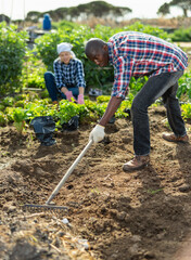 Friendly family works on garden beds. High quality photo