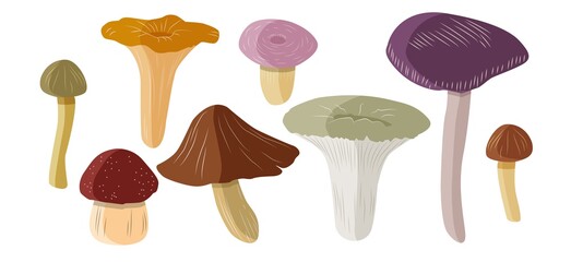 A set of different mushrooms. Isolated on a white background. Vector illustration