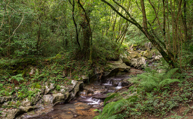 Views of the Arotzarena stream, a small course of water in the Municipality of Zugarramurdi, Navarre, Spain
