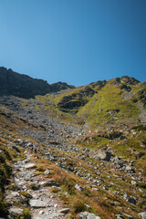 Vertical shot of stones and grassland on a hill