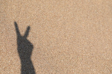 모래 위에 동물 모양의 그림자 © 재봉 황