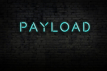 Neon sign. Word payload against brick wall. Night view
