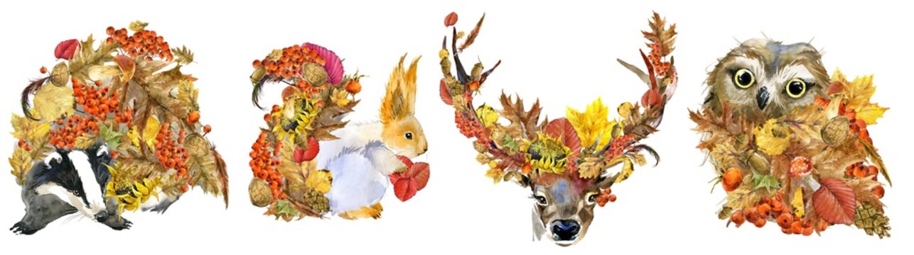forest animals set. badger. squirrel. deer. owl. autumn nature. colorful leaves. wildlife. woodland watercolor illustration.	
