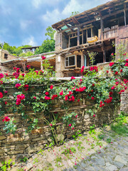 Obraz premium Village of Kovachevits, Blagoevgrad Region, Bulgaria