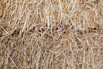 Dry straw stack as a natural background.