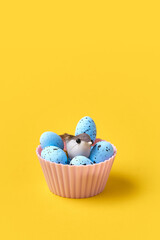 Muffin with easter blue eggs and bird. Springtime concept. Creative conceptual photo