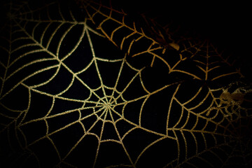 spider web on black background. halloween party festival, decoration and horror concept