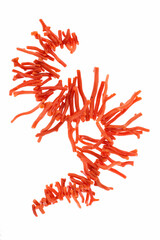 Collana rosso corallo su fondo bianco