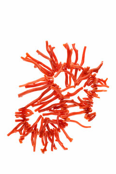 Collana rosso corallo su fondo bianco