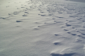 雪原
