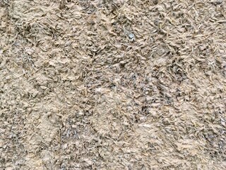 texture of the ground