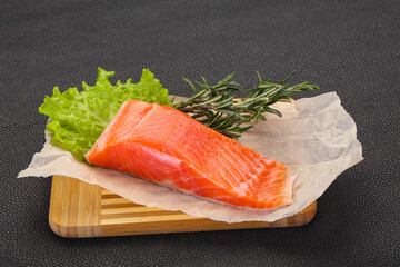 Piece of raw salmon
