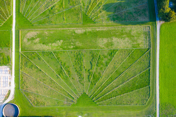 Green pastures of horse farms. Countryside landscape. Drone Aerial Shot. Paddocks, Outdoor