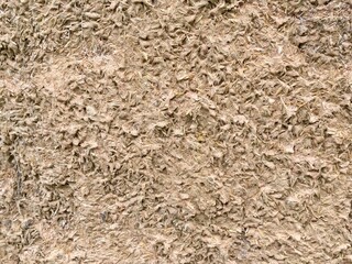 texture of the ground