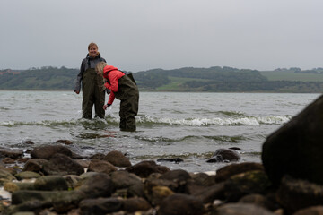 Two girls fishing oysters and mussels in shallow water near Lemvig with wading suits