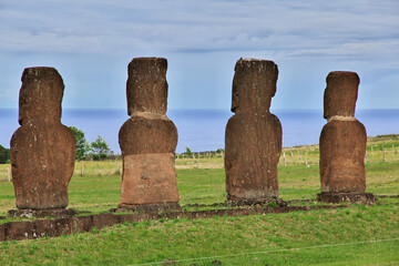 Rapa Nui. The statue Moai in Ahu Akivi on Easter Island, Chile