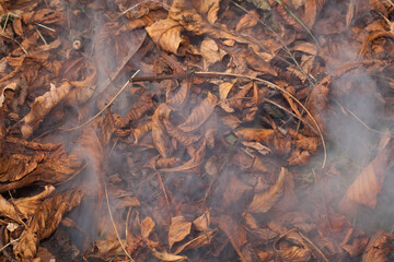 Suche liście kasztanowca palone w ognisku, zbliżenie.