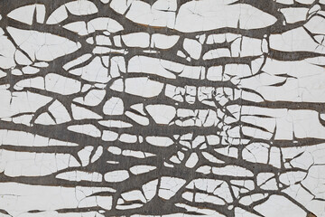 mancha blanca cuarteada pintura sobre madera 4M0A0053-as20