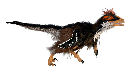 3D Rendering Dinosaur Deinonychus on White