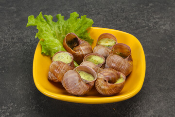 French cuisine - Escargot with sauce