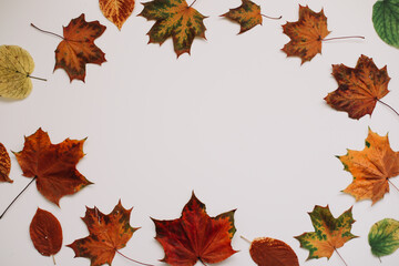 Autumn composition. Forest materials on white background. October flat lay, rustic style. Top view, copy space. Floral design